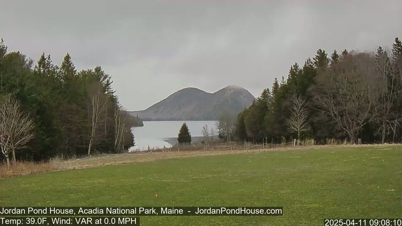 A calm, overcast day reveals a tranquil lake nestled between wooded hills, viewed from a grassy field.