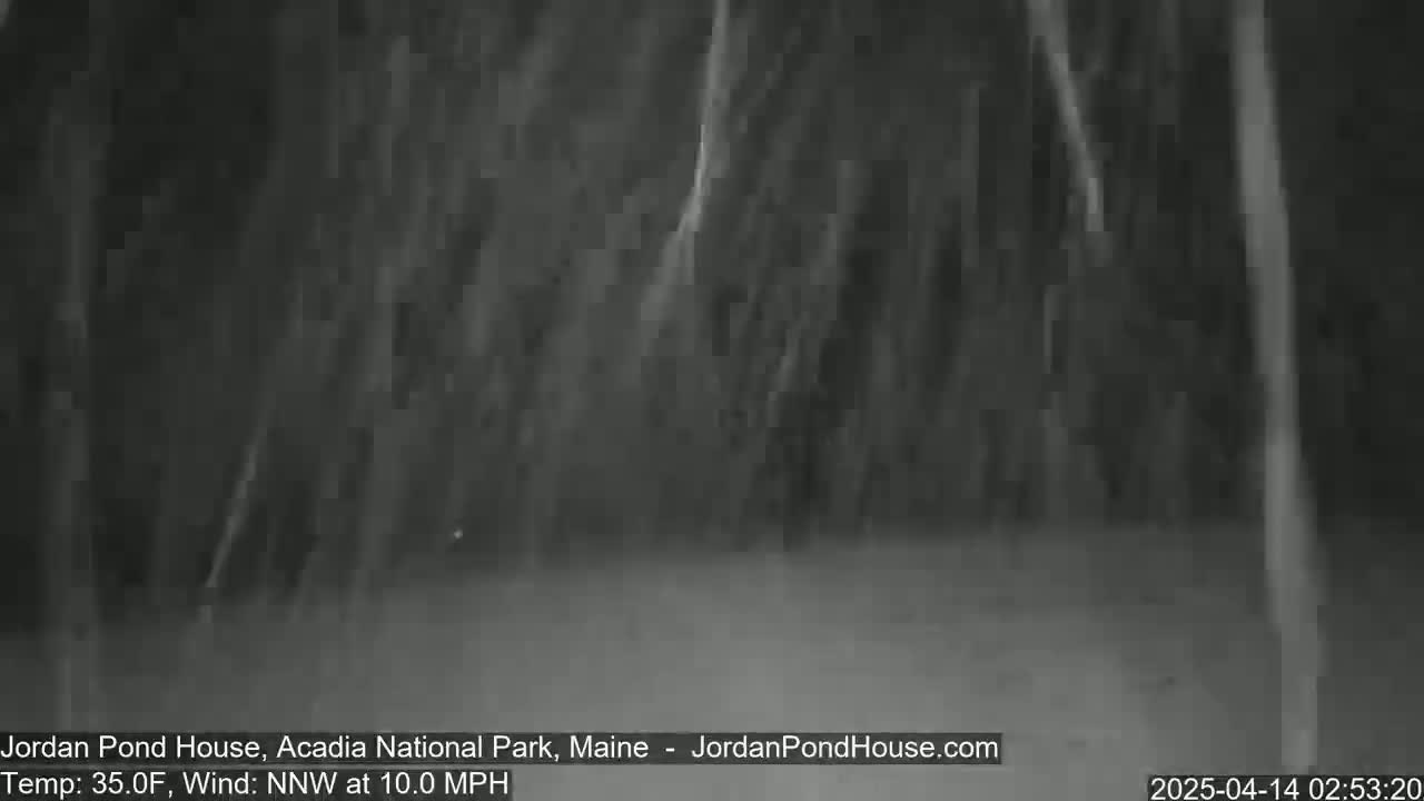 A snowy scene shows dark trees in a wooded area with a north-northwest wind blowing at 10 mph and a temperature of 35 degrees Fahrenheit.