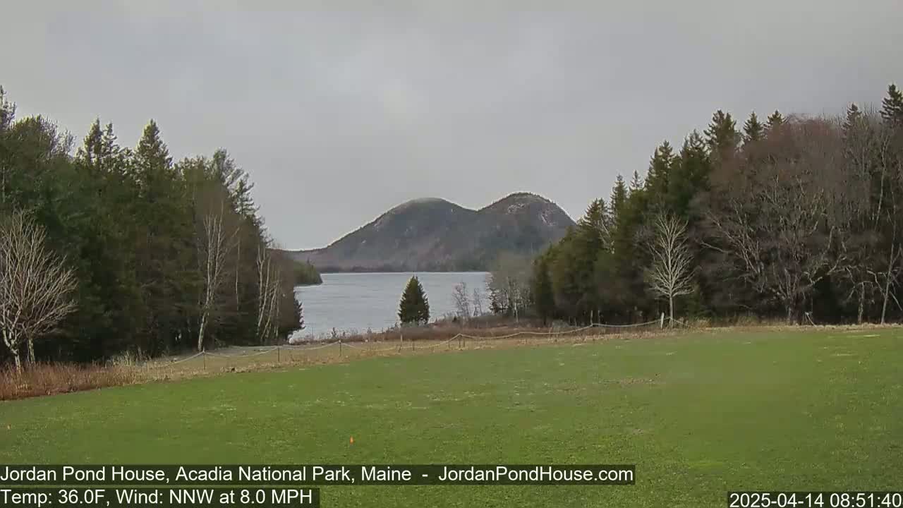 A calm lake nestled between forested hills is viewed from a grassy field under an overcast sky.