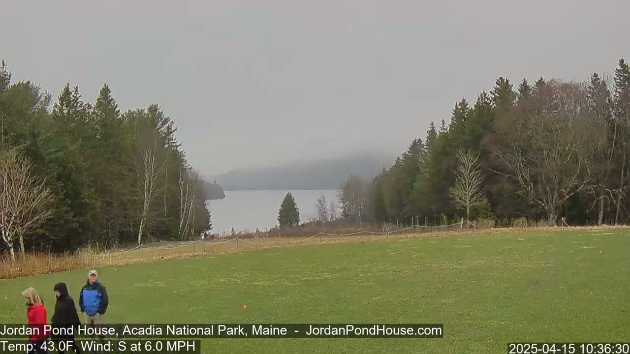 Three people stand in a grassy field overlooking a calm lake partially obscured by fog, with evergreen trees lining the shoreline and more trees in the background under a gray sky.