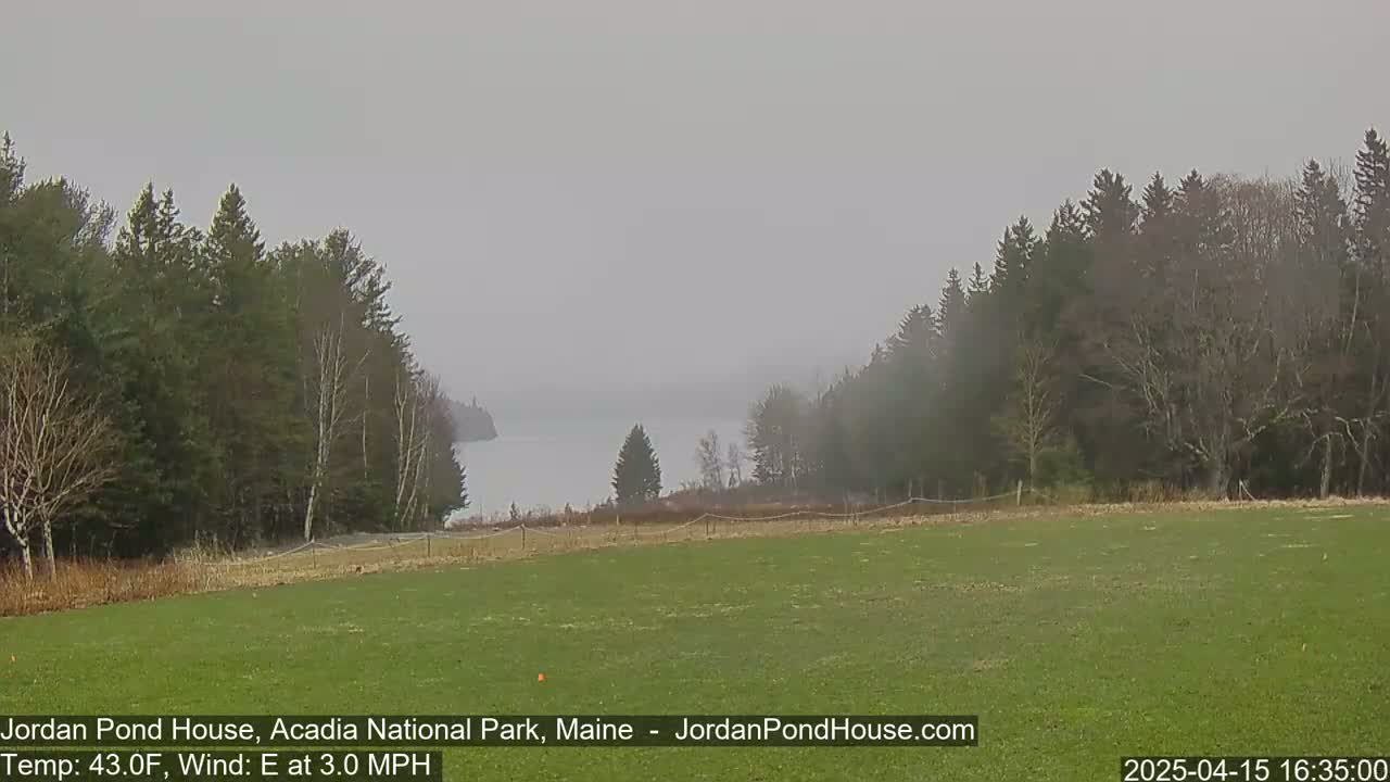 A hazy, overcast view shows a green field extending to a calm body of water partially obscured by trees on either side.