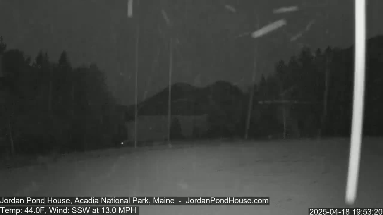 A nighttime, snowy scene shows dark trees and a hill under a dark sky with snow falling.