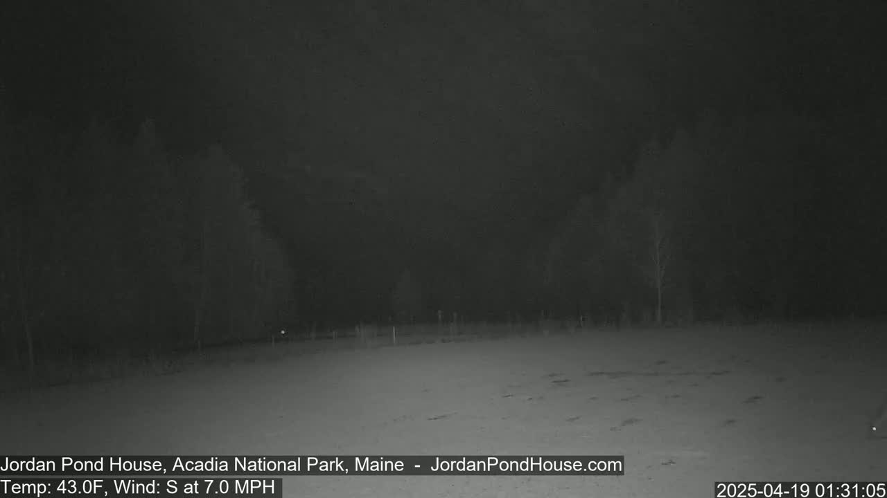 A nighttime, outdoor scene shows a dark, flat, snow-covered area with a few sparsely spaced trees in the background under a dark sky, with a south wind blowing at 7 mph and a temperature of 43°F.