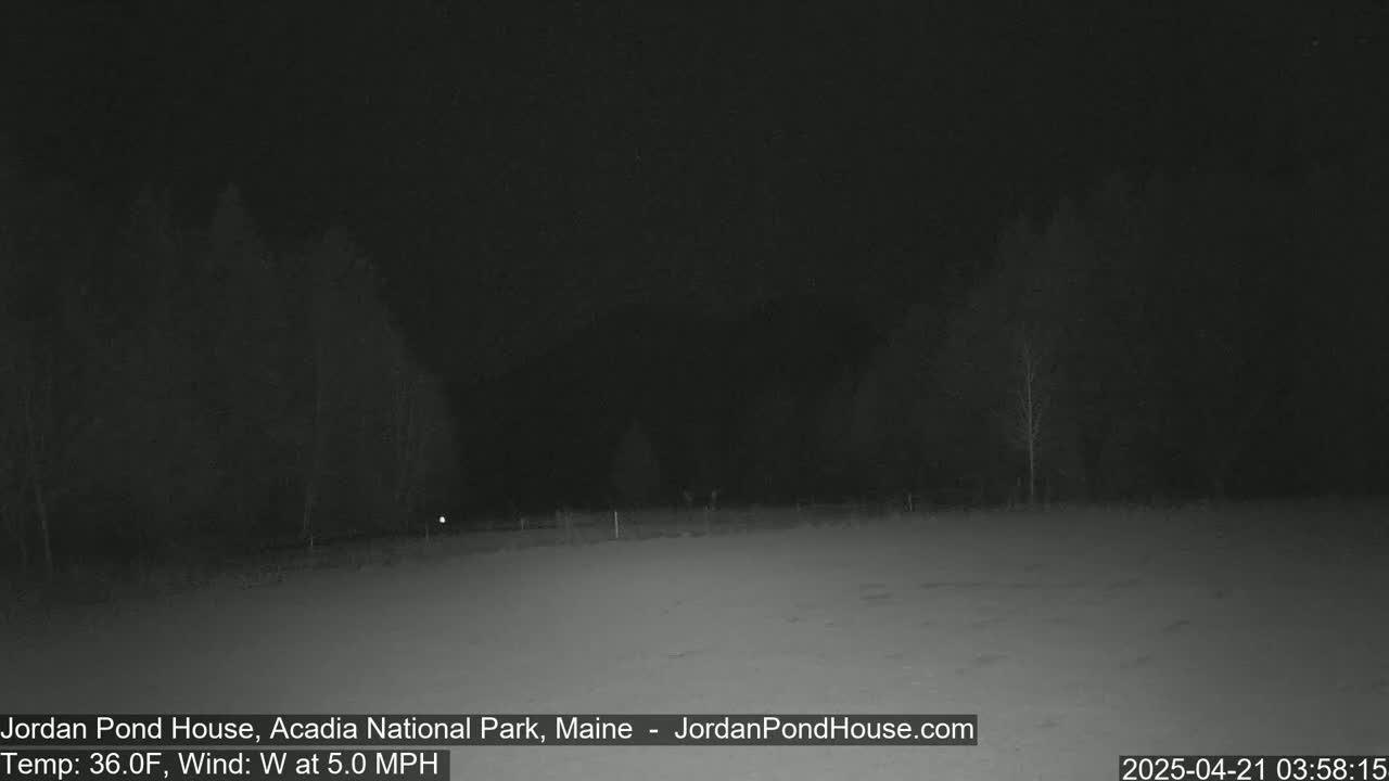 A snow-covered field is visible at night under a dark sky, with bare trees in the background and a slight westerly wind.