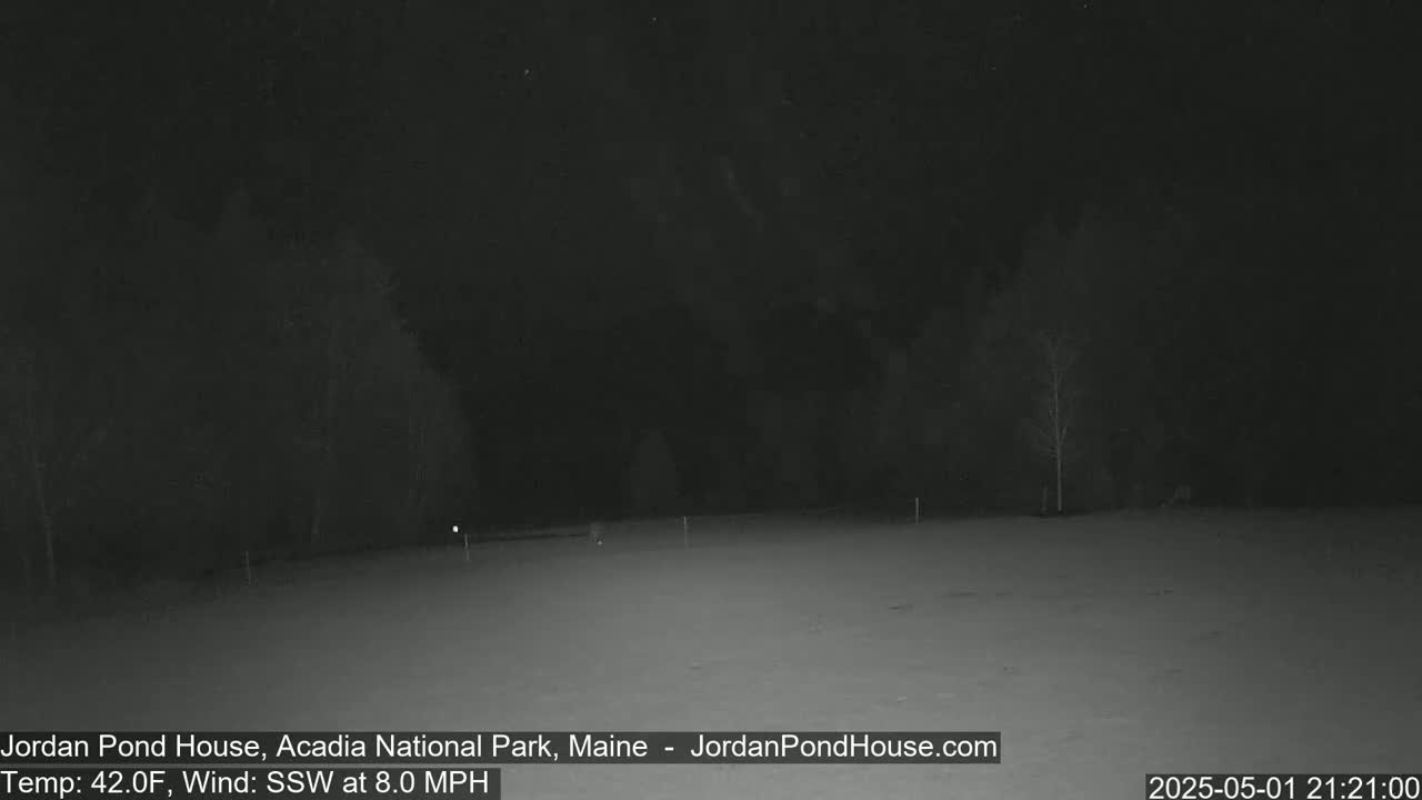 A nighttime, snow-covered field is visible, with a few sparsely distributed trees in the background under a dark sky, with a 42°F temperature and an 8 mph south-southwesterly wind.