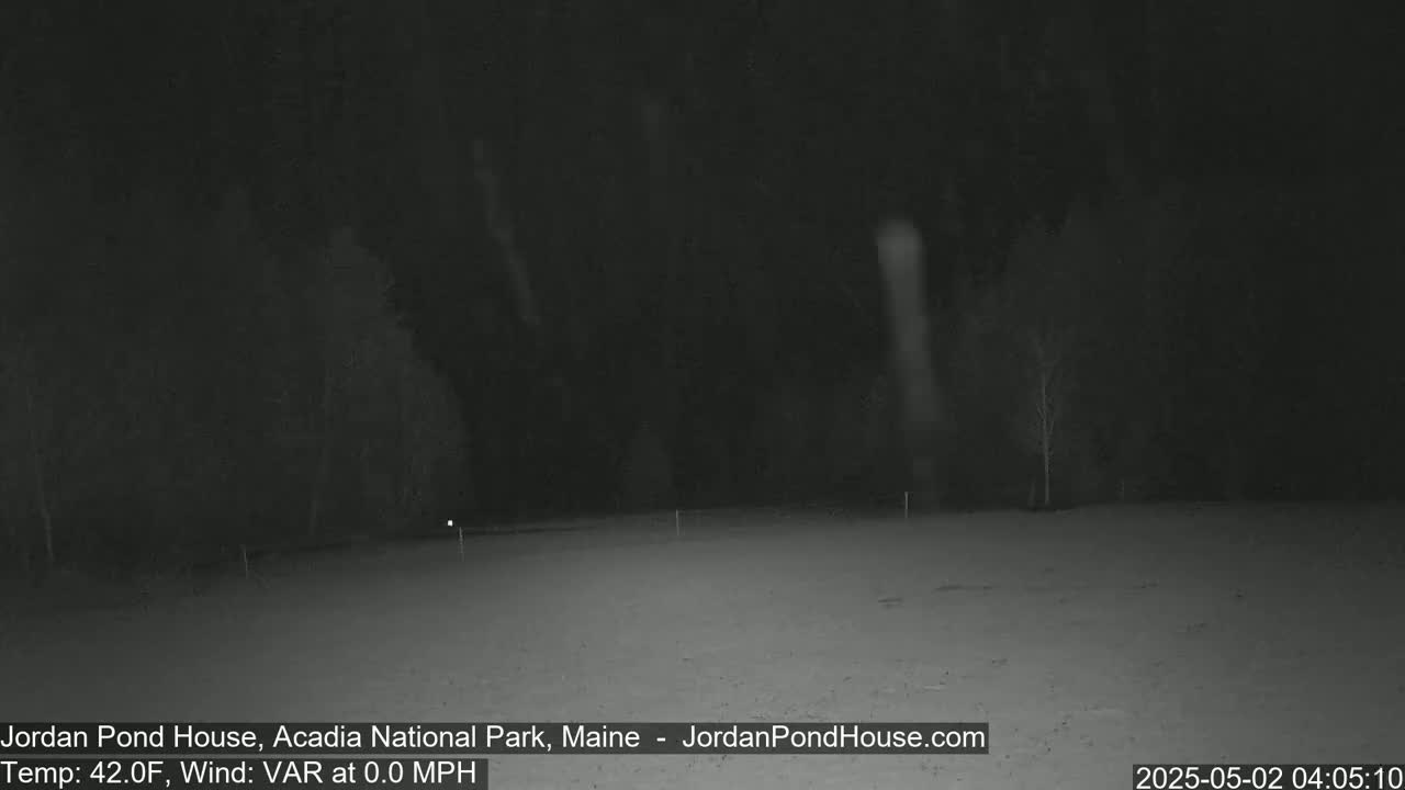 A snow-covered, dark landscape is visible at night with sparsely spaced trees and light snowfall.