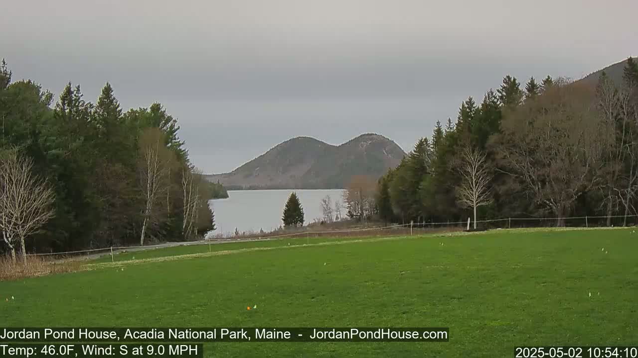 A verdant field stretches towards a calm lake nestled between wooded hills under an overcast sky.