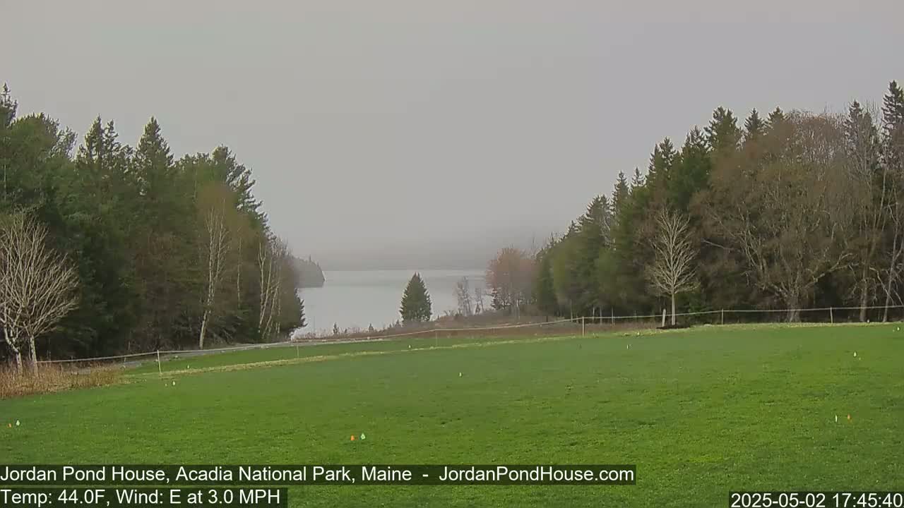 A calm, gray day shows a green field overlooking a still body of water, bordered by trees on either side.