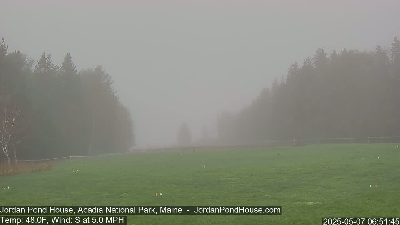 A foggy field is surrounded by trees in a thick fog.