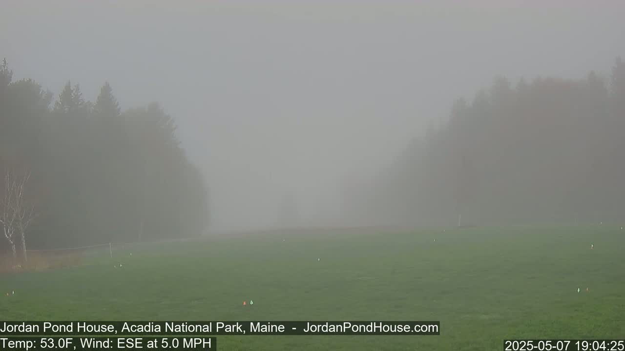 A foggy field is surrounded by trees barely visible through a thick haze.