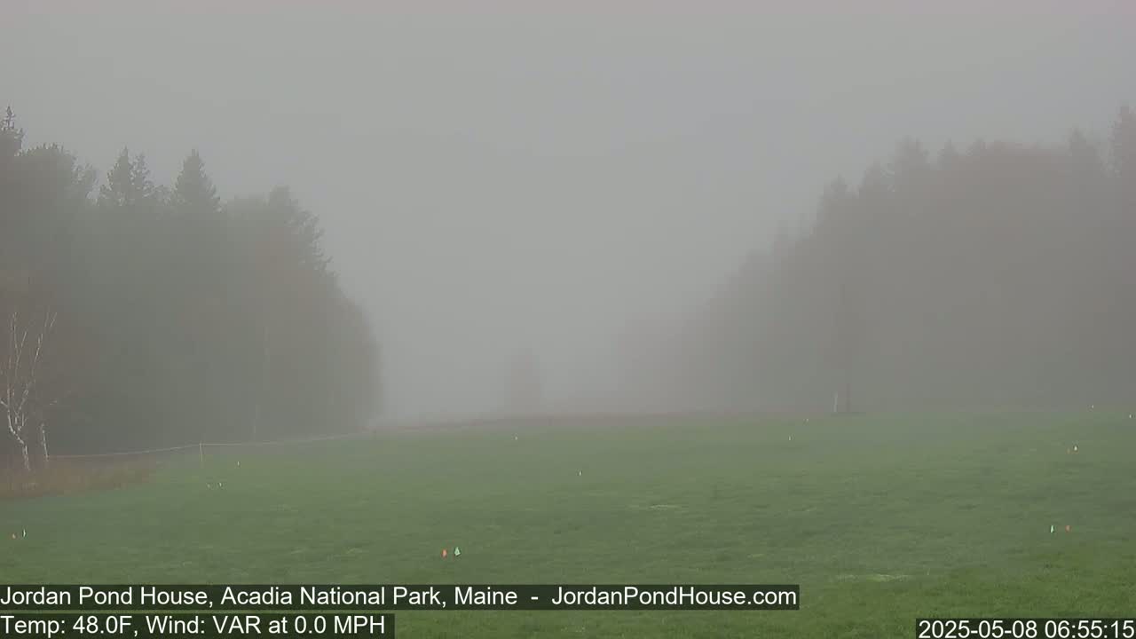 A foggy field with trees in the background.