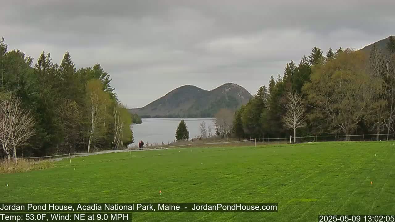 A person walks on a grassy field overlooking a calm lake surrounded by green trees and rolling hills under an overcast sky.