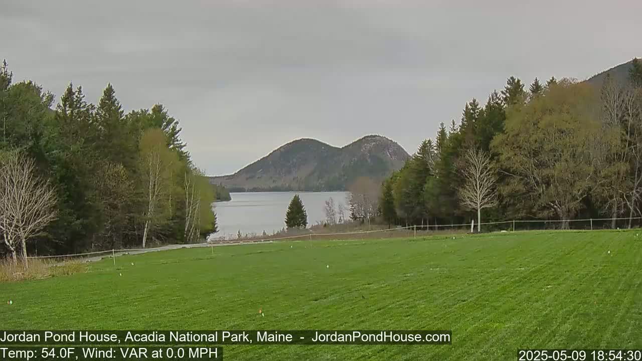 A verdant field stretches towards a calm lake nestled between tree-covered hills under an overcast sky.