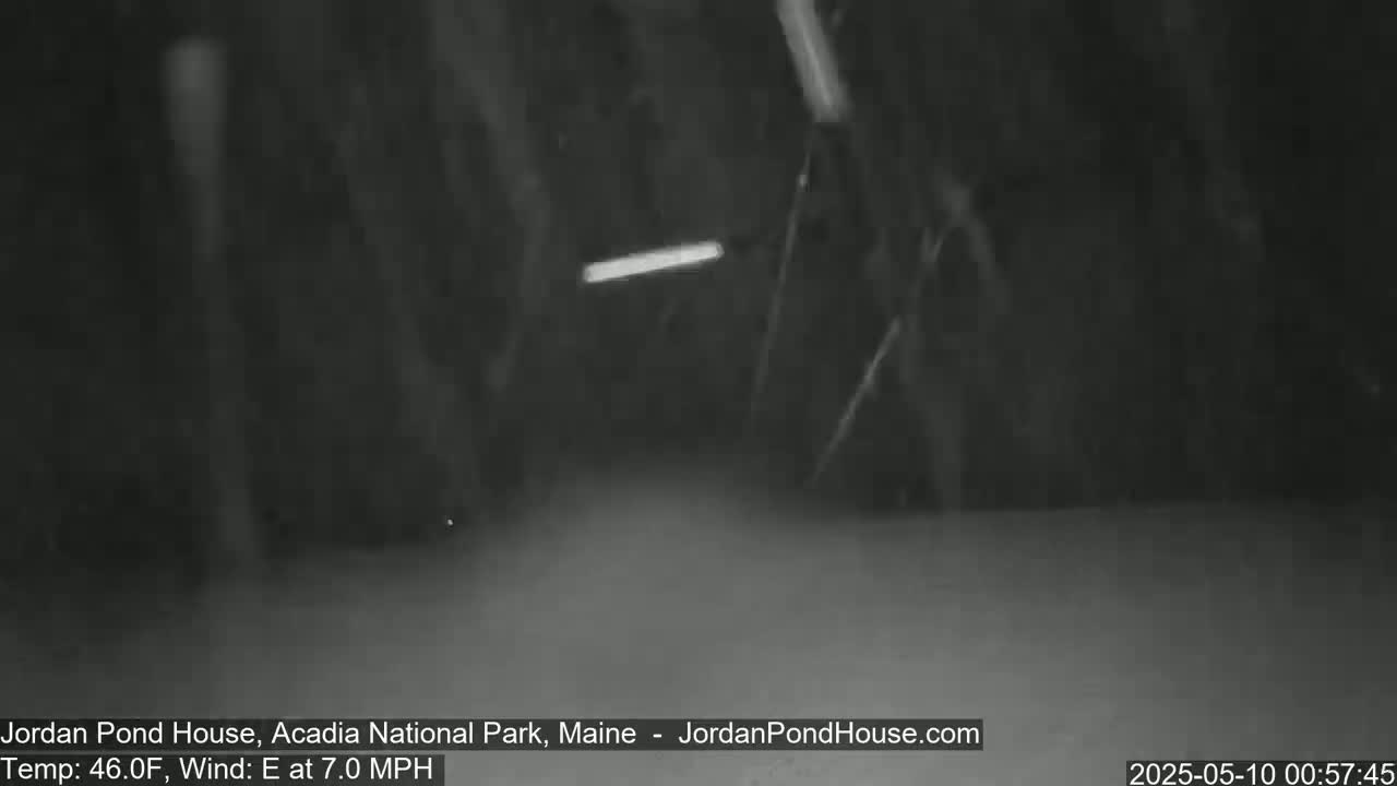 A nighttime, blurry outdoor scene shows a dark, possibly snowy, landscape with a faint light source in the distance and a slight wind.