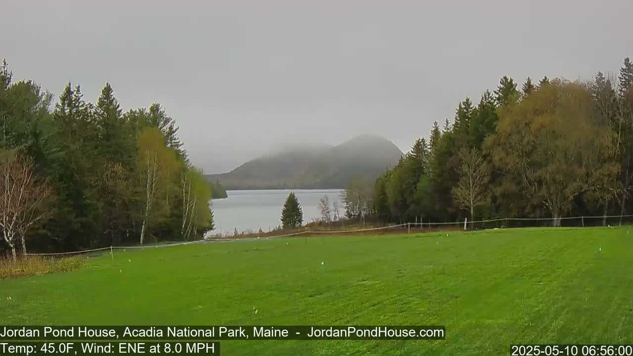 A misty, calm lake is seen in the distance, bordered by lush green fields and dark green evergreen trees under an overcast sky.