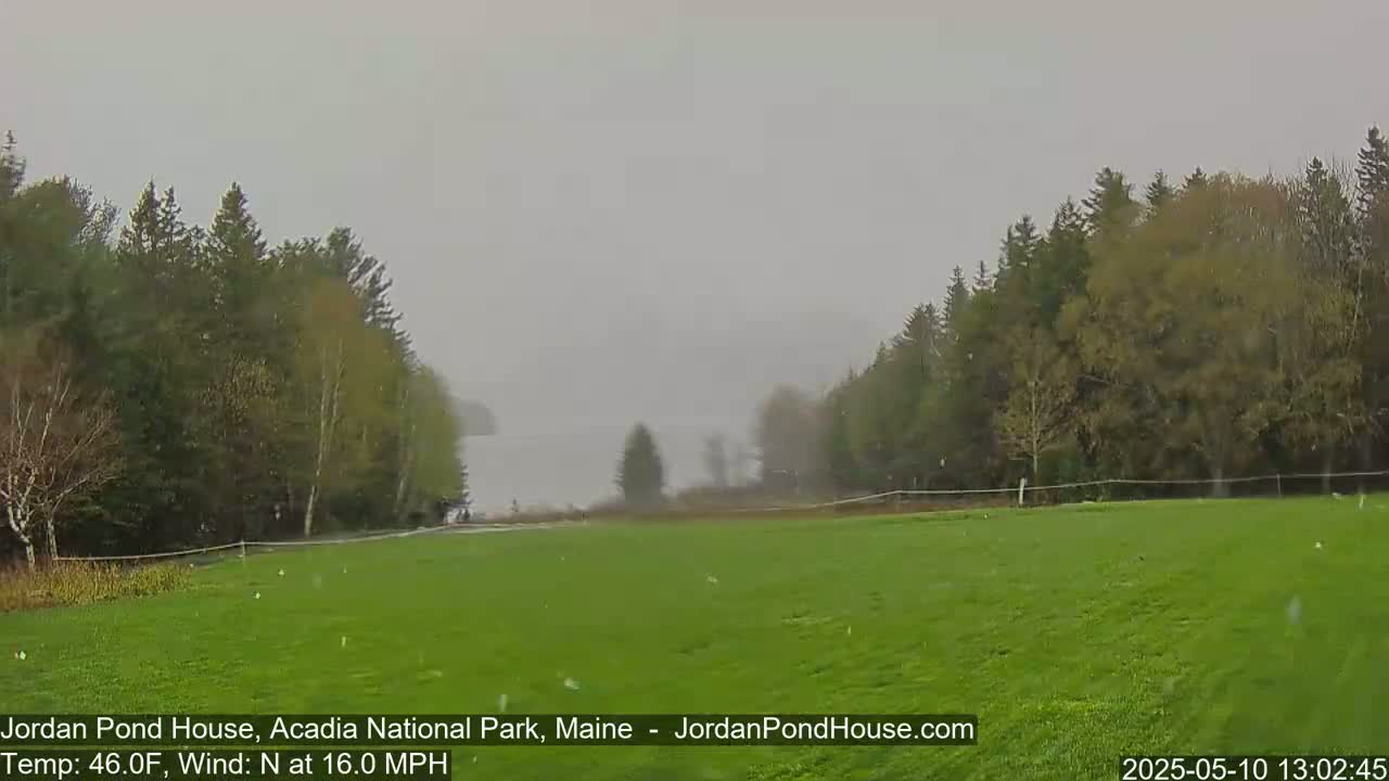 A grassy field, bordered by evergreen trees, stretches toward a misty body of water under a gray, rainy sky.
