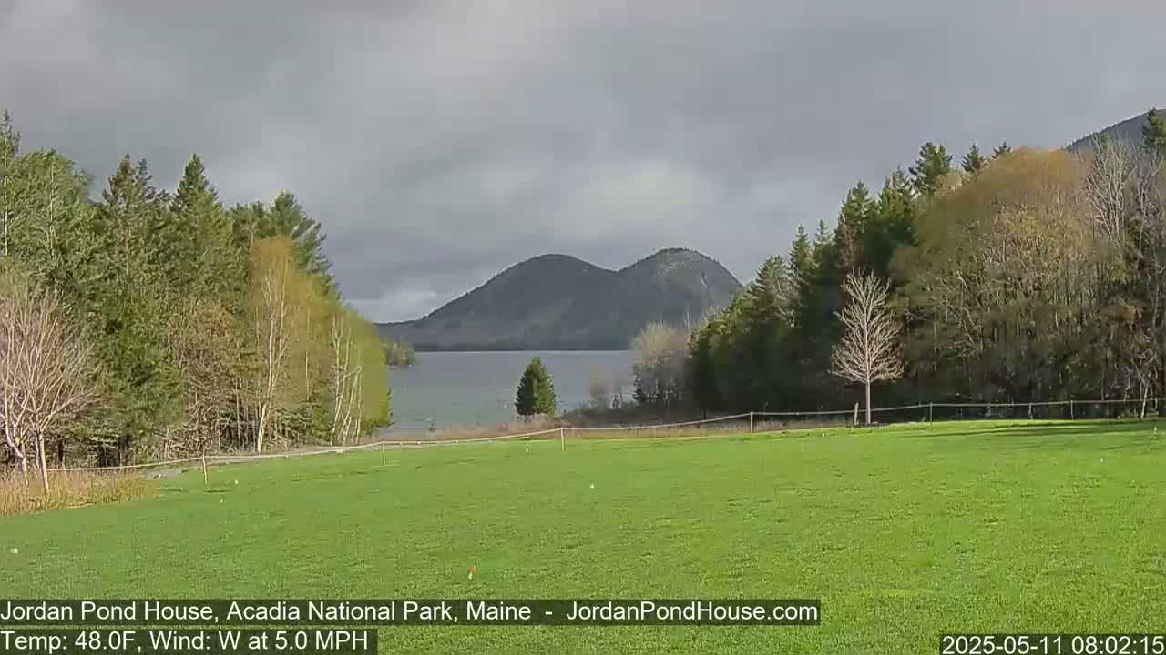 A calm, overcast day reveals a verdant field overlooking a lake and distant mountains, with trees lining the shoreline.