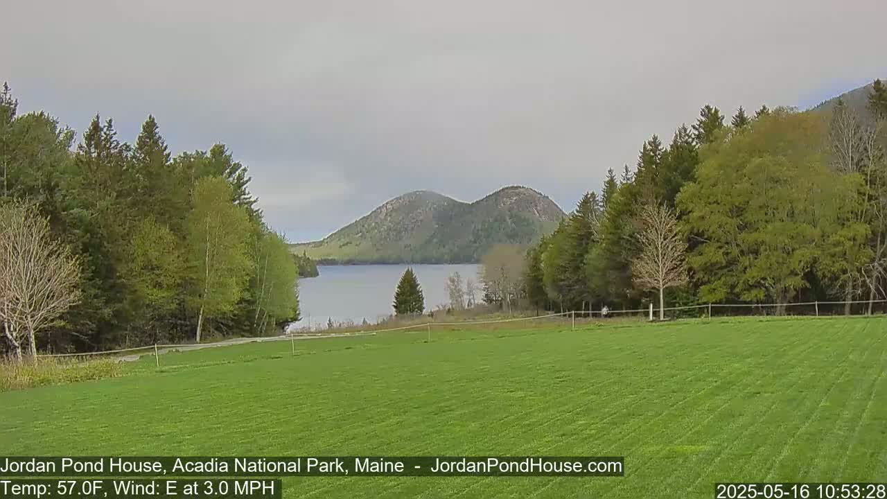 A calm, overcast day reveals a verdant field leading to a tranquil lake nestled between two rounded hills, surrounded by lush green trees.