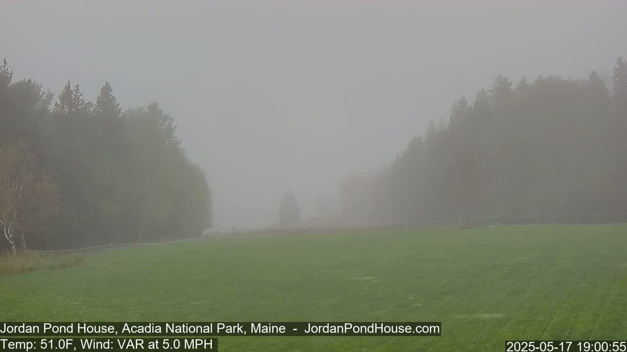 A foggy field is visible, bordered by dark, indistinct trees under a gray sky.