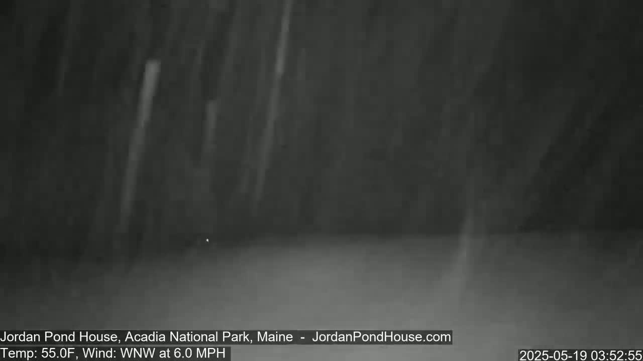A nighttime, outdoor scene shows heavy rain falling in front of dark trees under a dark sky.