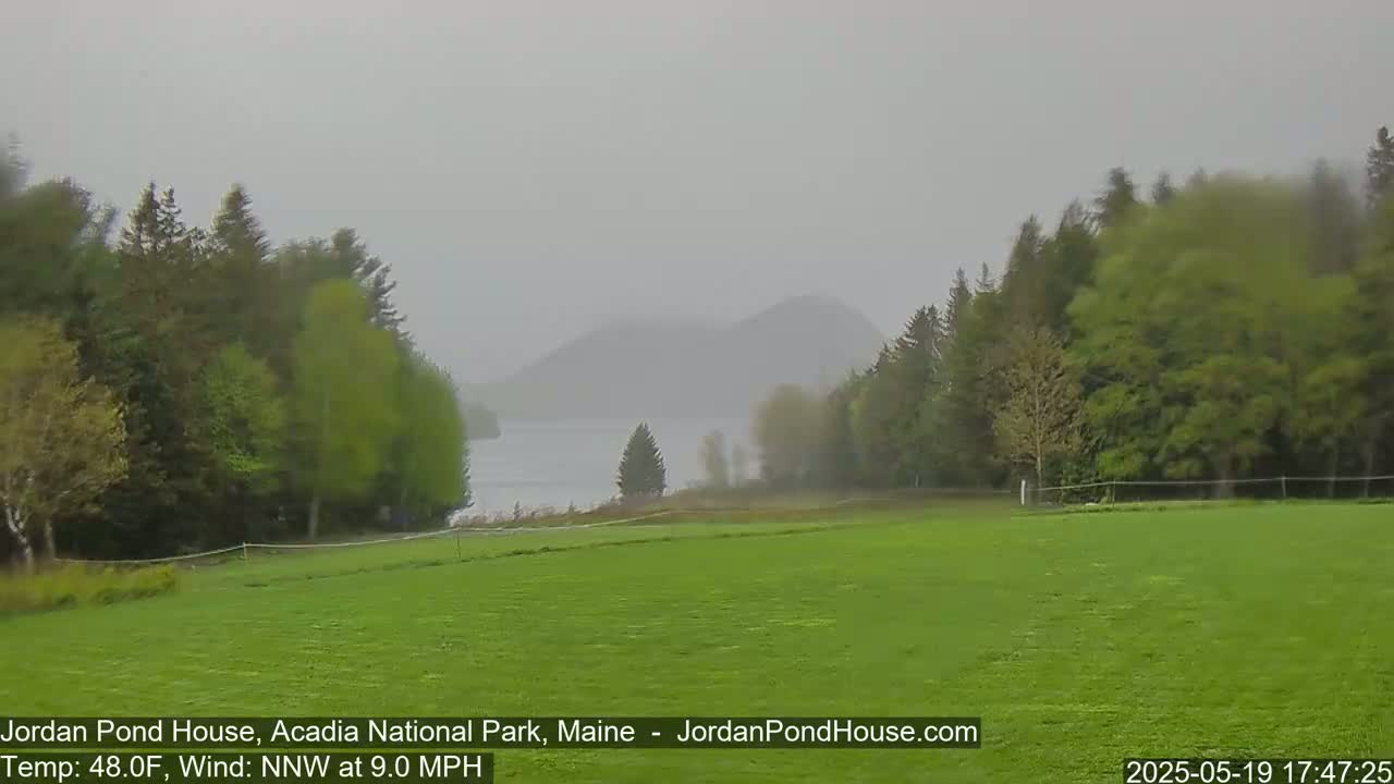 A hazy, windy day with a view of a lake and distant hills partially obscured by mist, framed by green trees and a grassy field in the foreground.