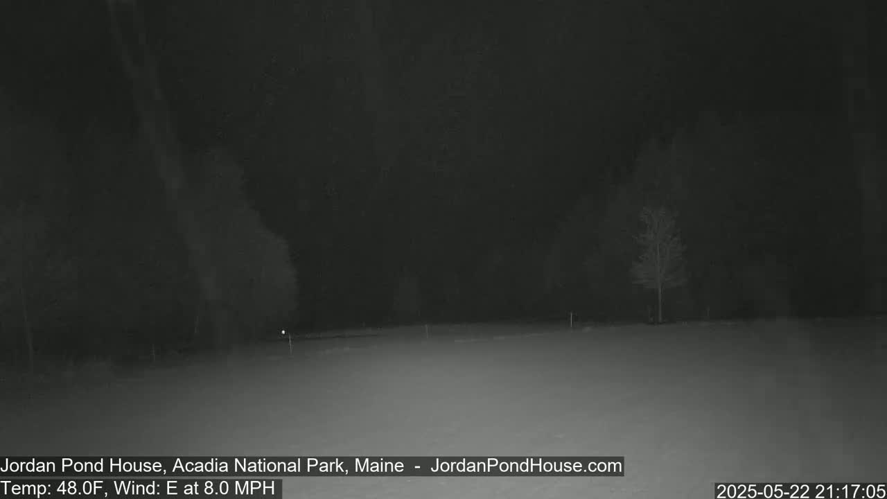 A nighttime, low-light view of a snow-covered, flat expanse with sparsely scattered trees under an overcast sky, with an easterly wind at 8 miles per hour and a temperature of 48 degrees Fahrenheit.