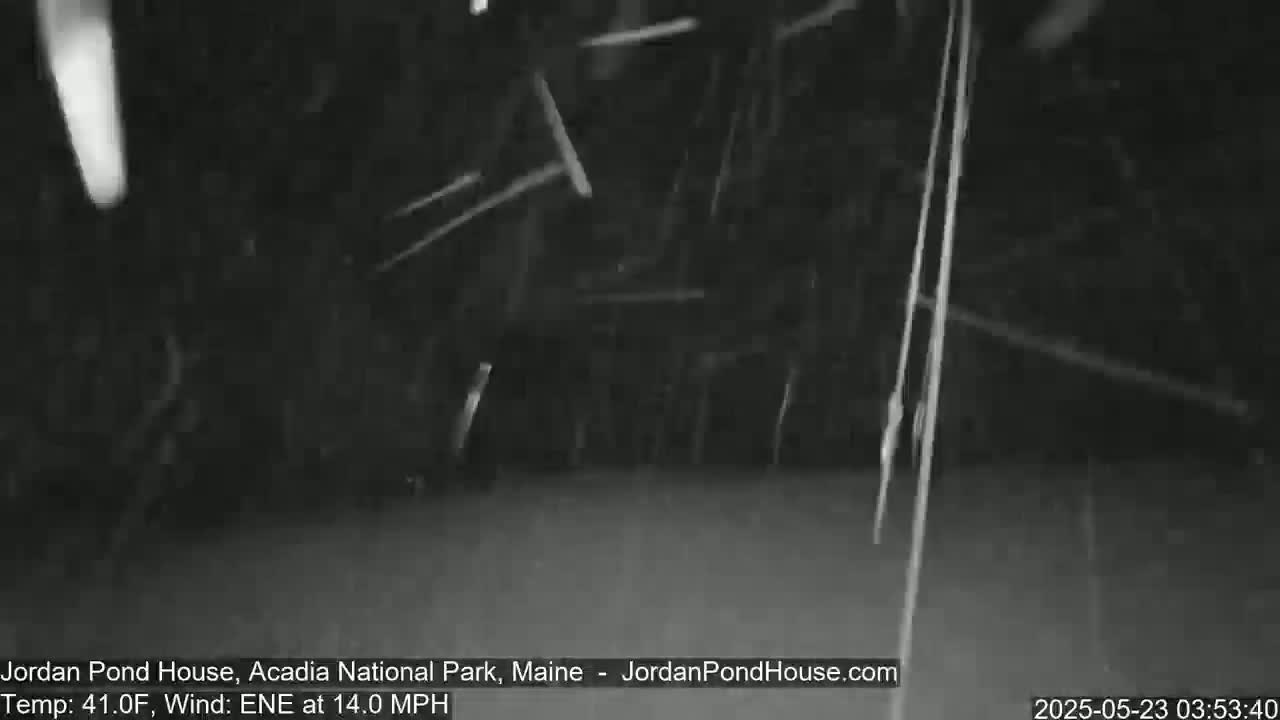 A nighttime, outdoor scene shows snow or sleet falling in windy conditions.