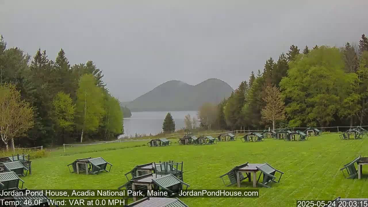Overcast, many overturned green picnic tables sit on a grassy field overlooking a calm lake and distant mountains.