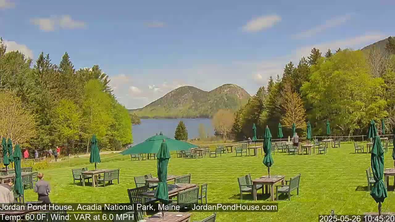 A grassy lawn with numerous tables and green umbrellas overlooks a calm lake and mountains under a mostly sunny sky.
