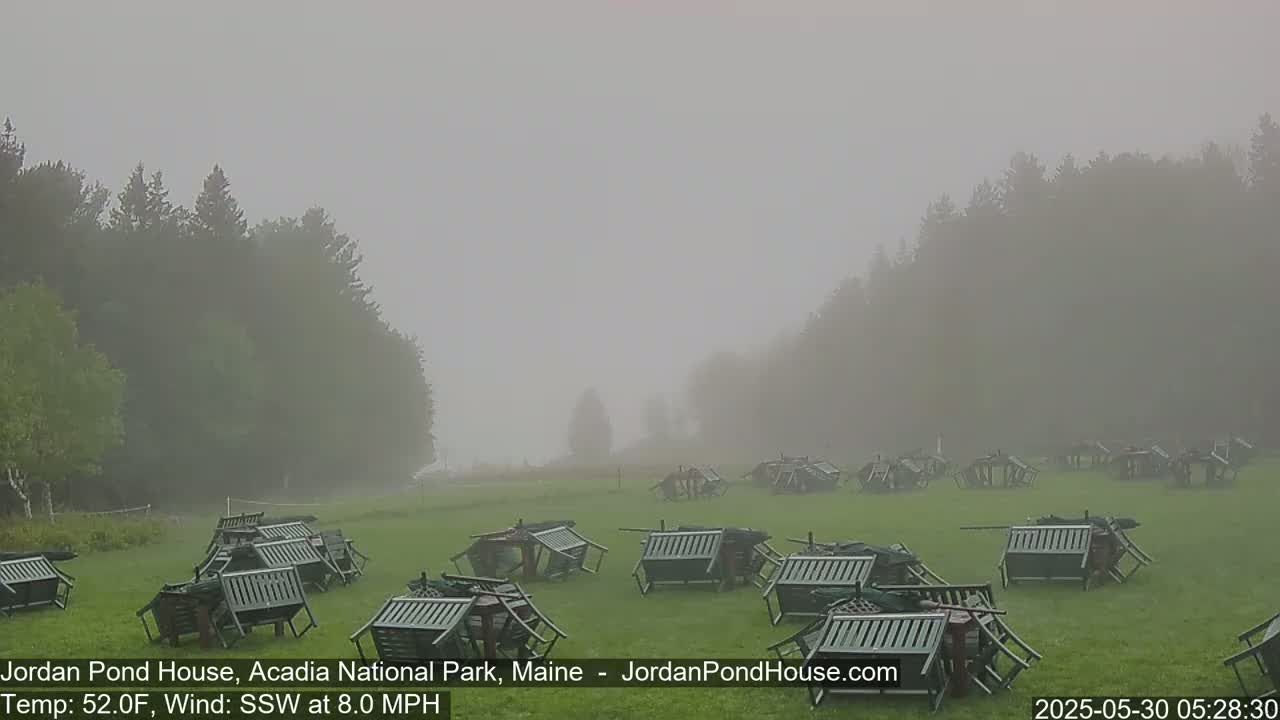 A foggy field with numerous overturned chairs and a line of trees in the background.