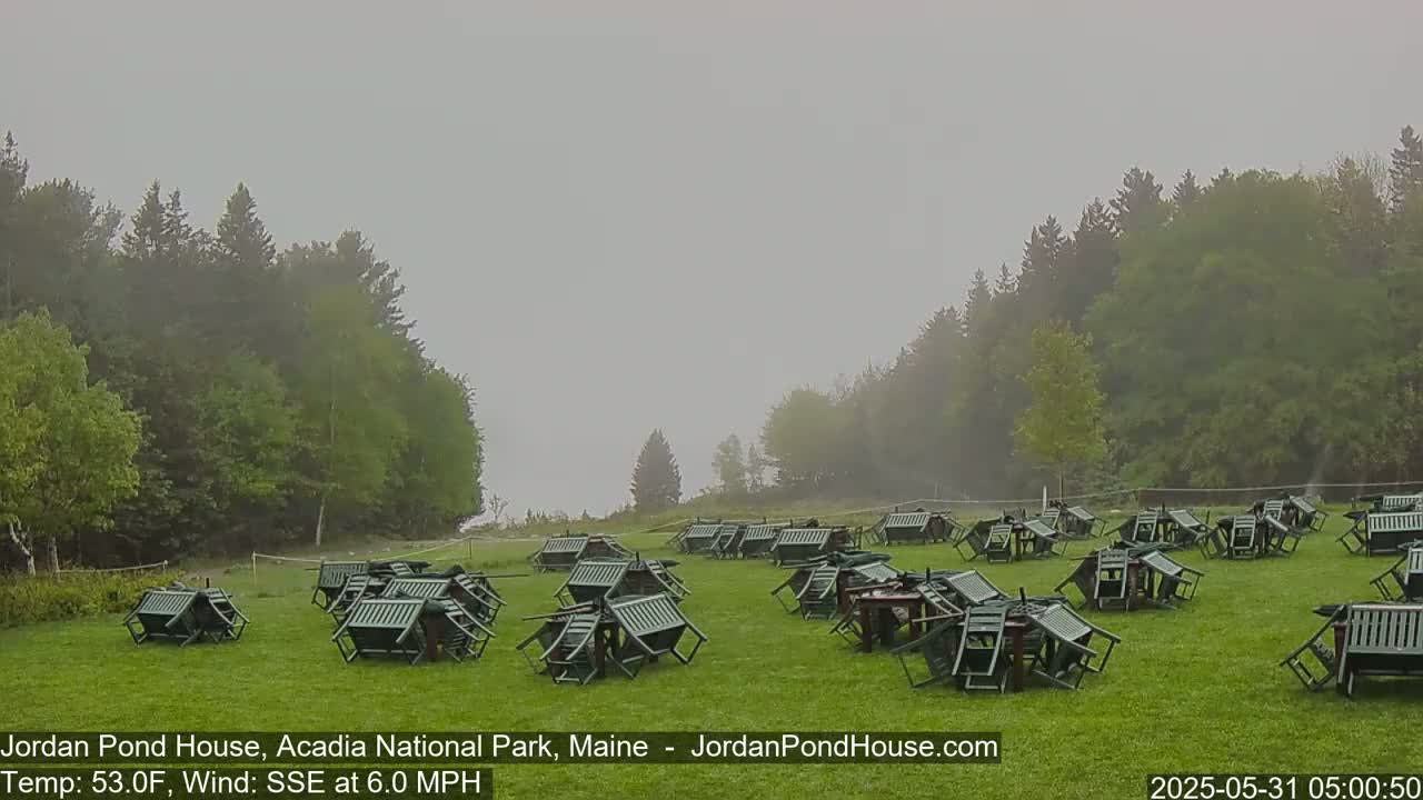 Many overturned green chairs and tables are scattered across a grassy field, surrounded by misty, green trees in foggy weather.
