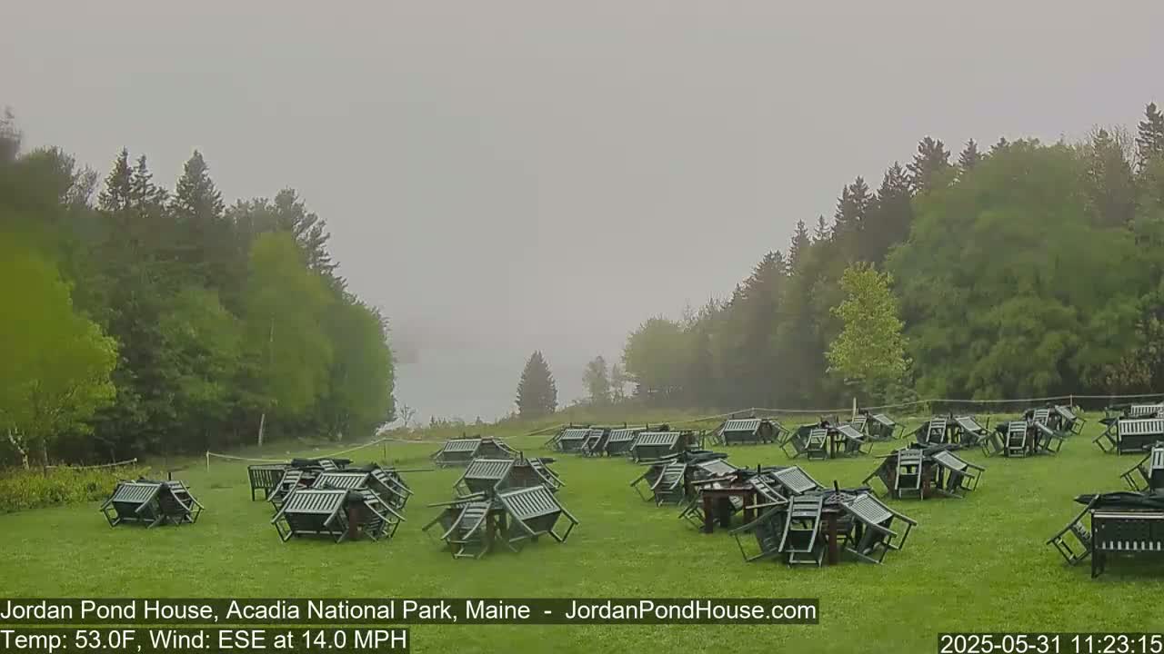 Many overturned chairs and tables are scattered across a grassy area amidst a foggy landscape of green trees.