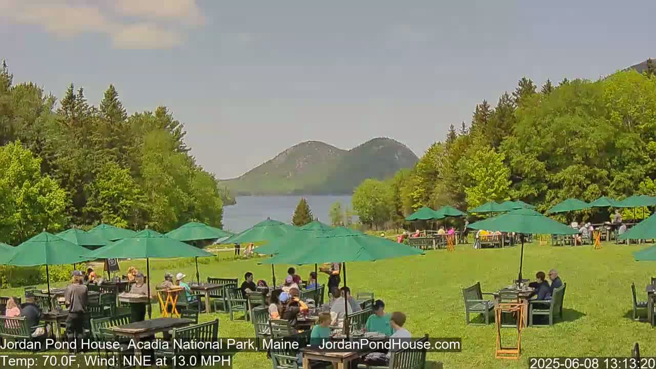 A sunny day shows people seated at tables under green umbrellas on a grassy lawn overlooking a lake and mountains.