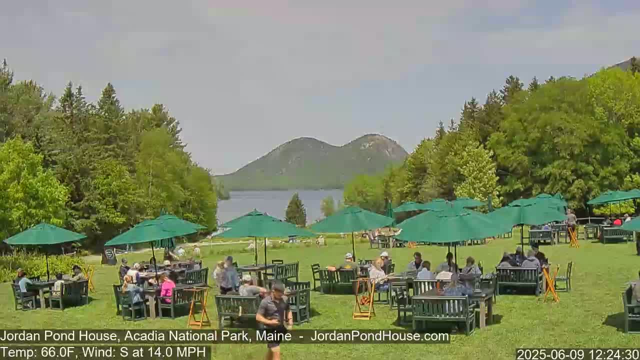 A sunny outdoor cafe scene with numerous green umbrellas and people seated at tables, overlooking a lake and mountains in the distance, under a partly cloudy sky.