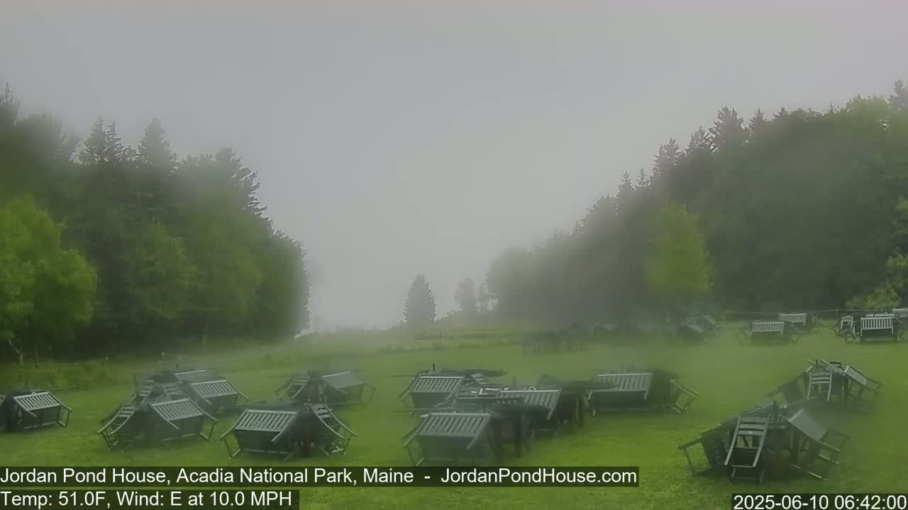 Numerous overturned dark-green outdoor chairs and tables litter a grassy field surrounded by fog-shrouded trees in a breezy, cool setting.