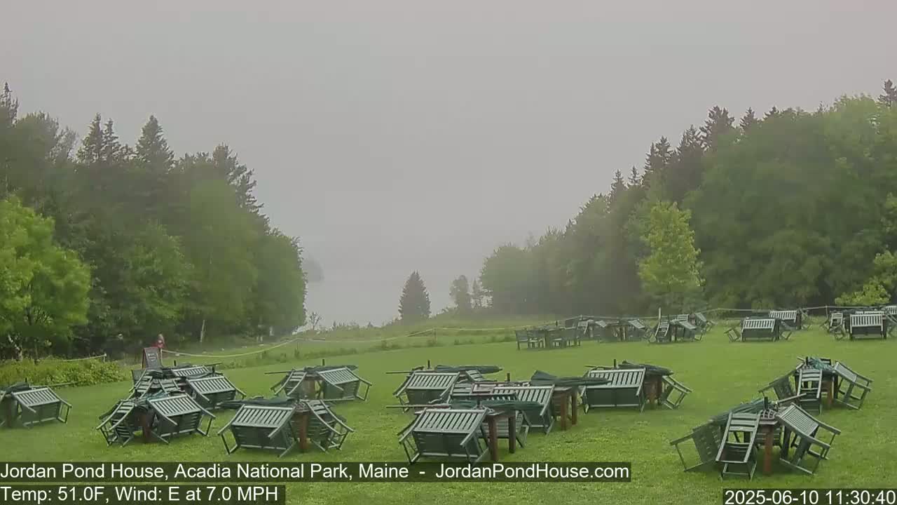 Numerous overturned green patio chairs and tables are scattered across a grassy field, bordered by trees and shrouded in fog.