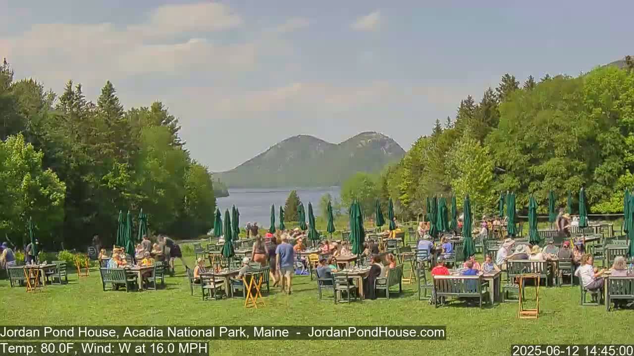 A sunny outdoor patio scene with numerous people seated at tables under green umbrellas, overlooking a calm lake and mountains in the distance.