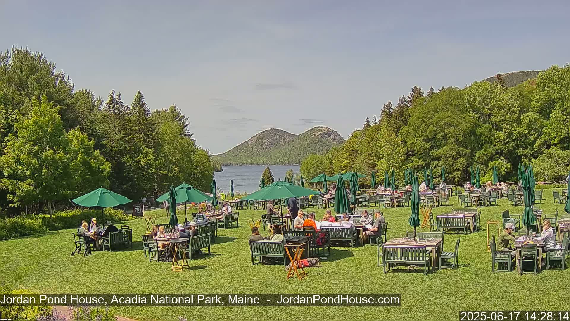 A grassy outdoor patio area with numerous green umbrellas and tables where people are seated, overlooking a lake and mountains under a mostly clear sky.