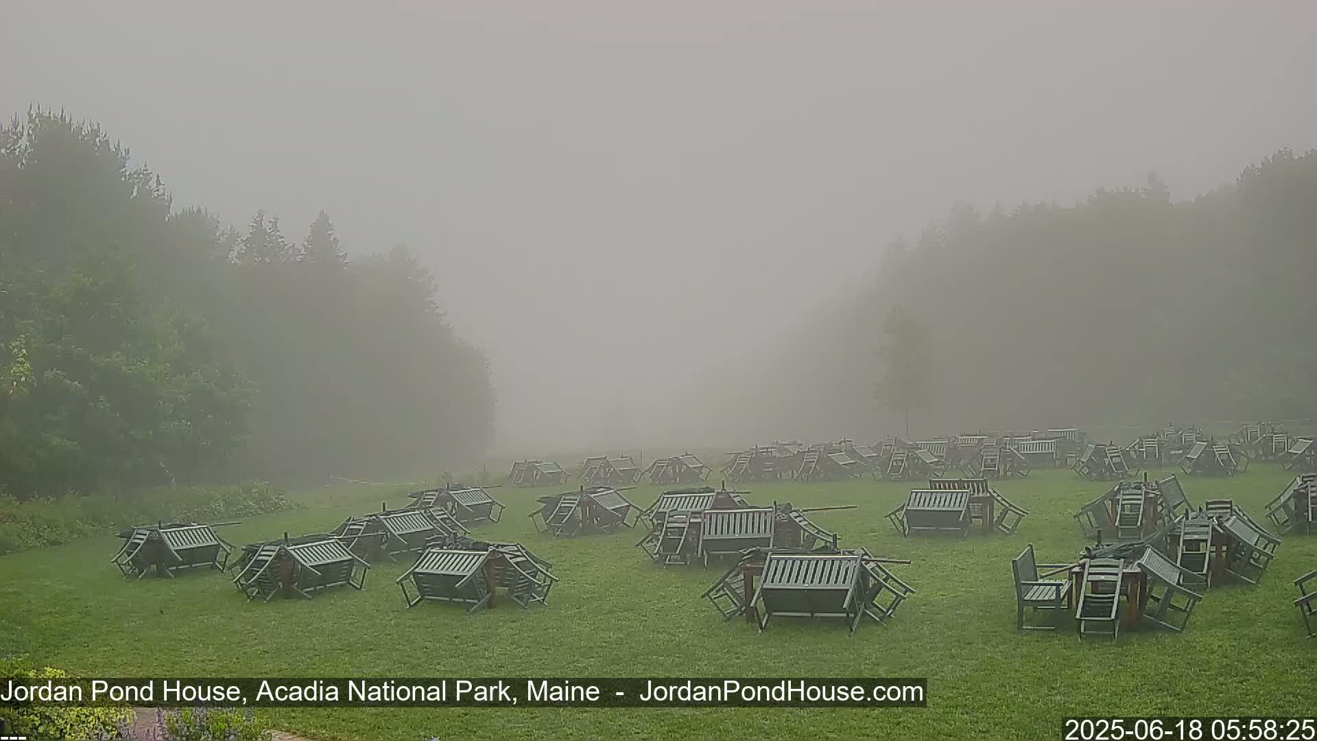 Numerous overturned chairs and tables are scattered across a grassy field shrouded in thick fog, surrounded by a misty forest.
