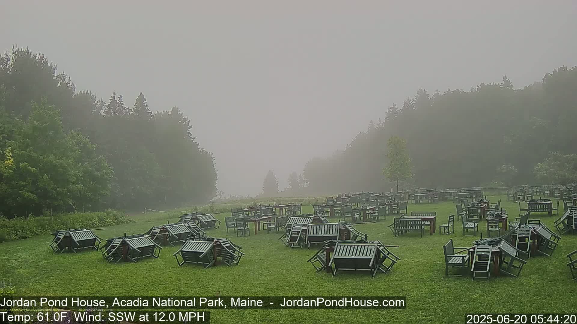 Numerous overturned chairs and tables are scattered across a grassy area surrounded by a misty forest.