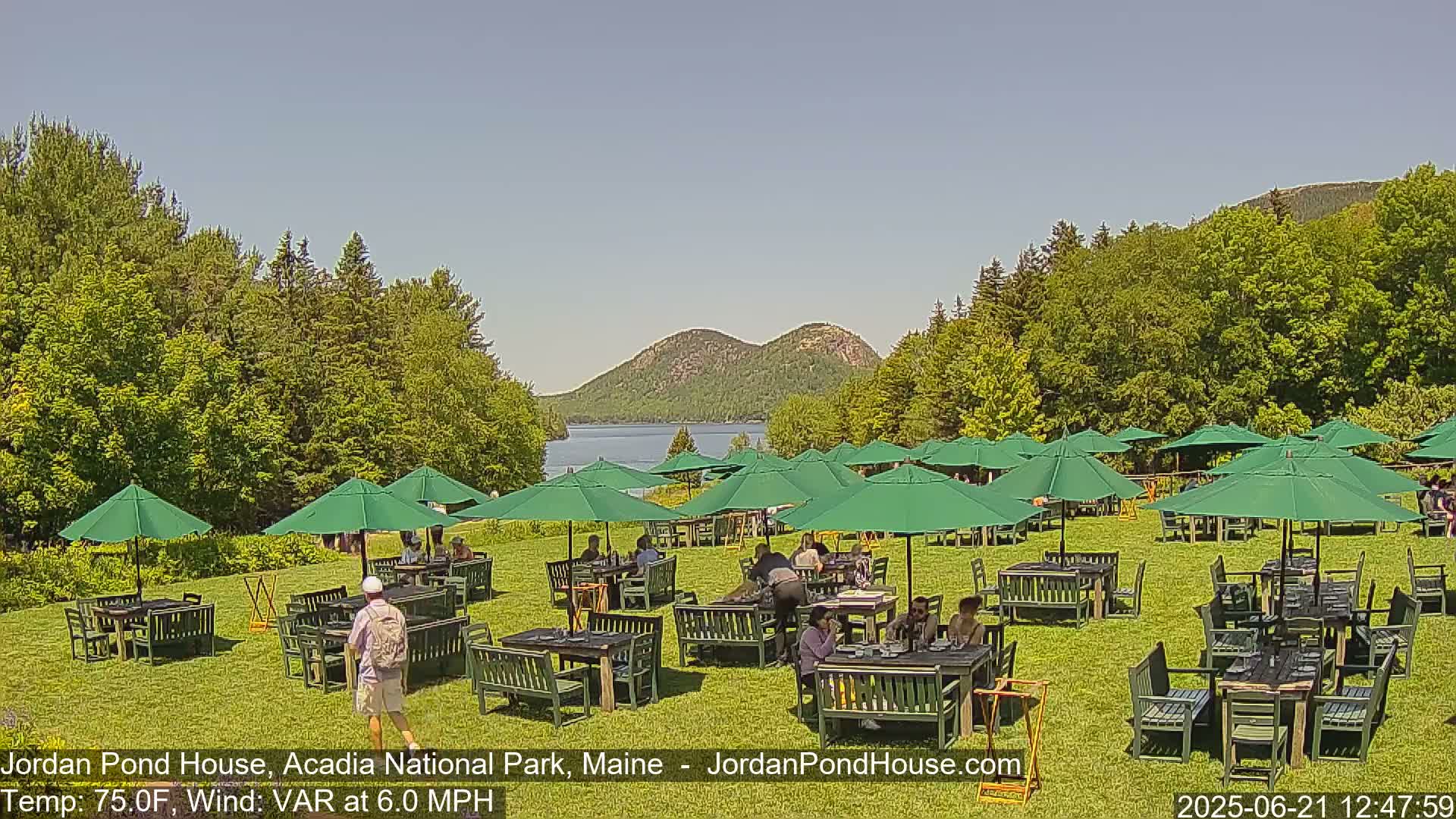 A sunny outdoor cafe with many green umbrellas and tables is set on a grassy area overlooking a lake and mountains.