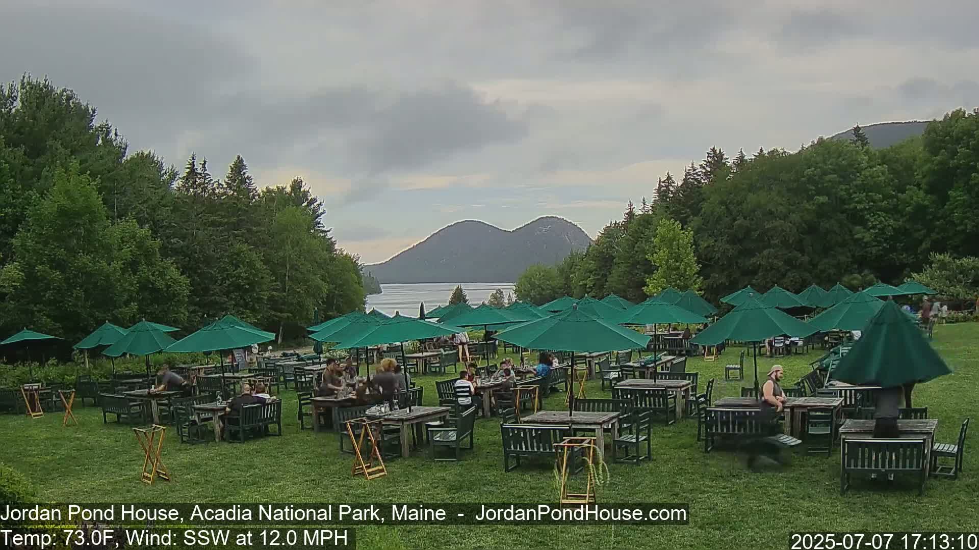 Numerous people sit at tables under green umbrellas on a grassy lawn overlooking a lake and mountains under a cloudy sky.