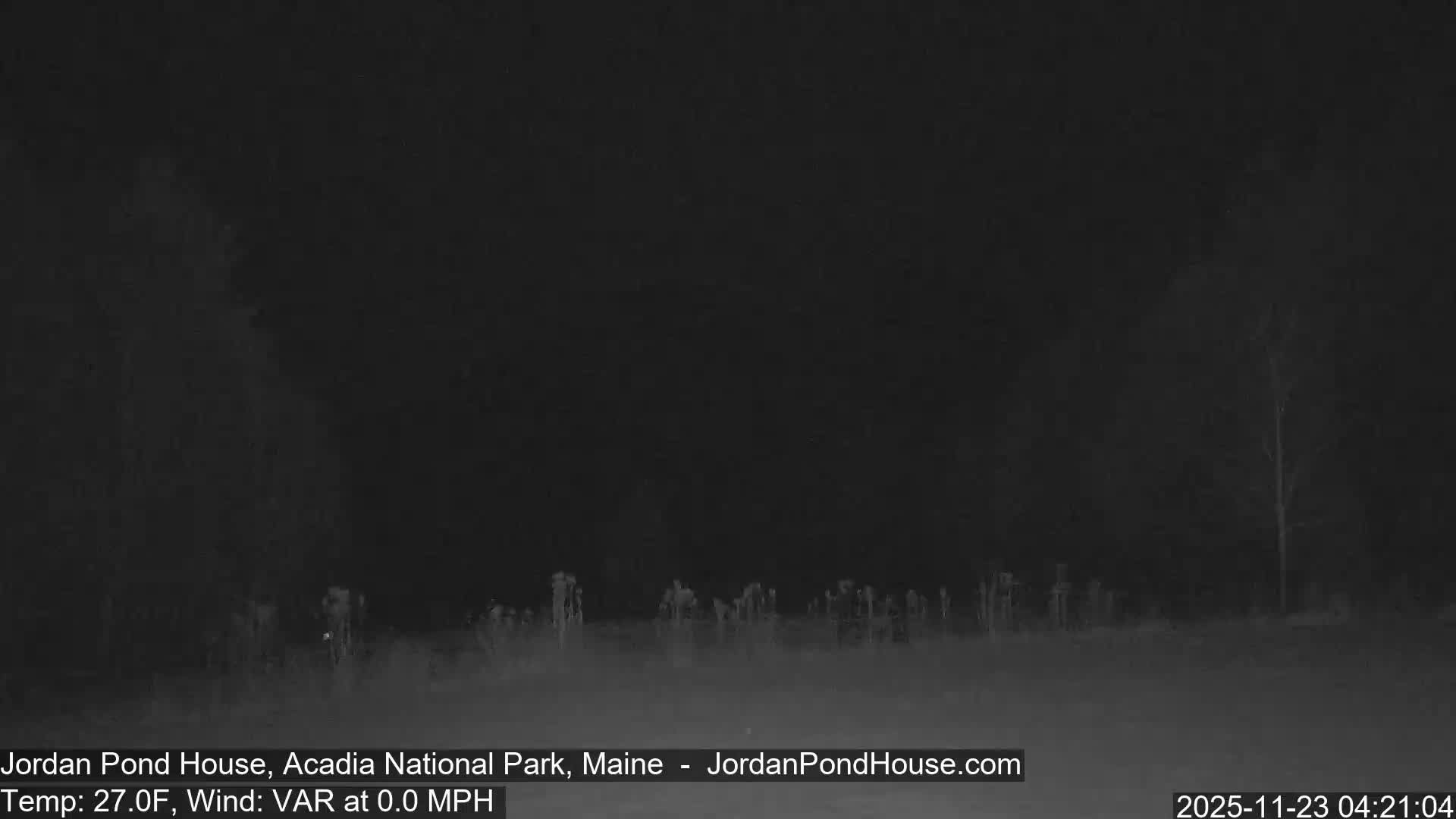 A very dark outdoor scene at night reveals faint silhouettes of trees and ground vegetation under visually clear conditions.