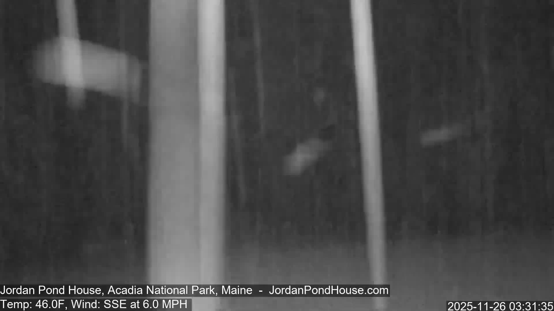 A grainy, monochromatic nighttime scene shows numerous streaks of rain falling against a dark, blurry background, with a temperature of 46.0F and a SSE wind at 6.0 MPH.