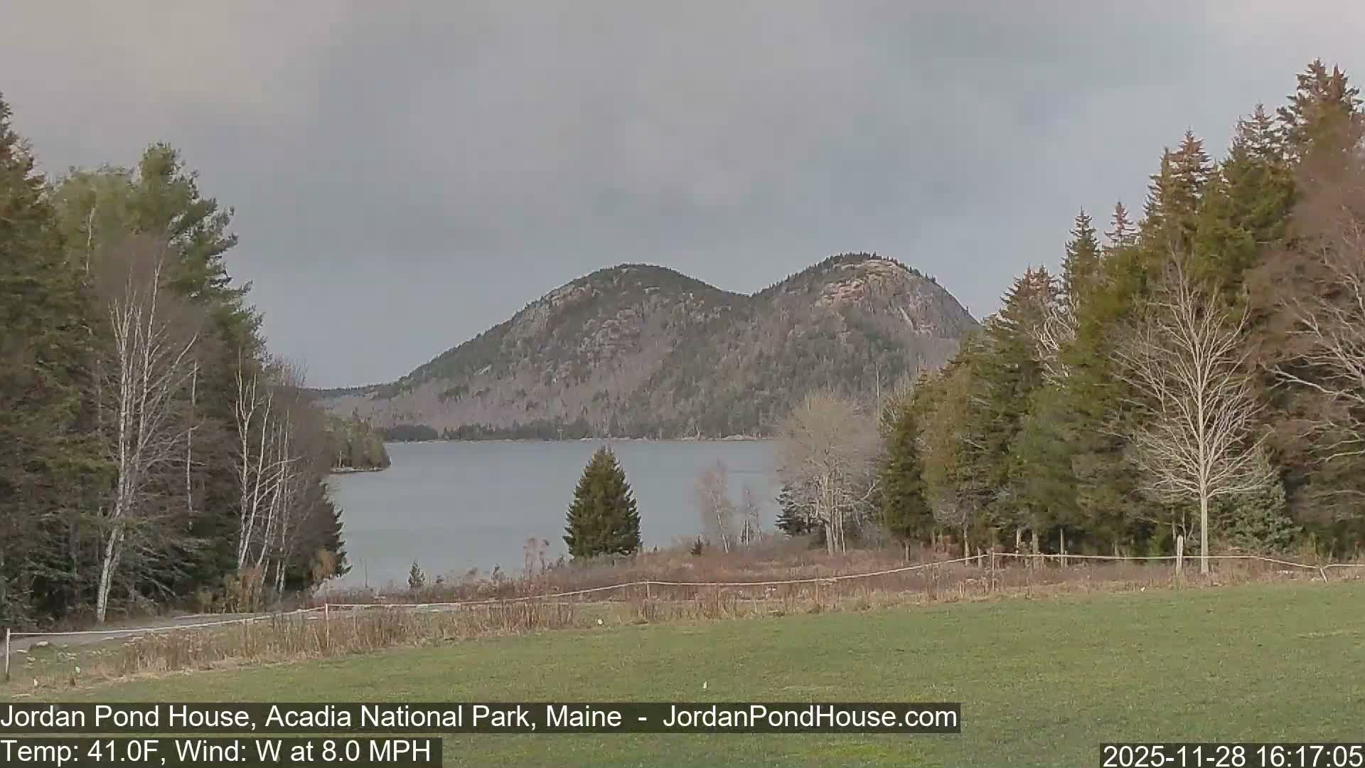 A scenic view captures a calm lake surrounded by forested mountains and varied trees, with a grassy field in the foreground, all under an overcast sky.