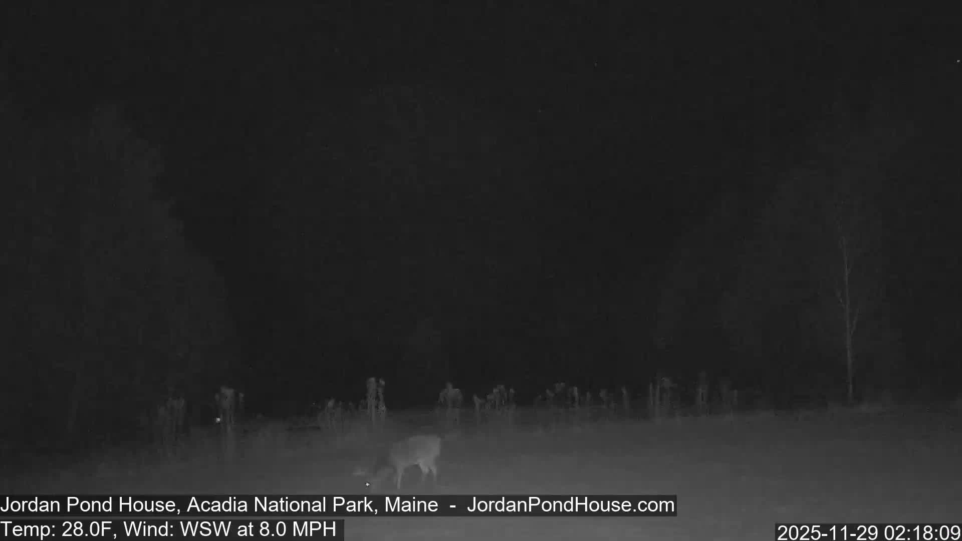 Acadia National Park, Jordan Pond Lake Live Cam - Seal Harbor, Hancock,  Maine, USA