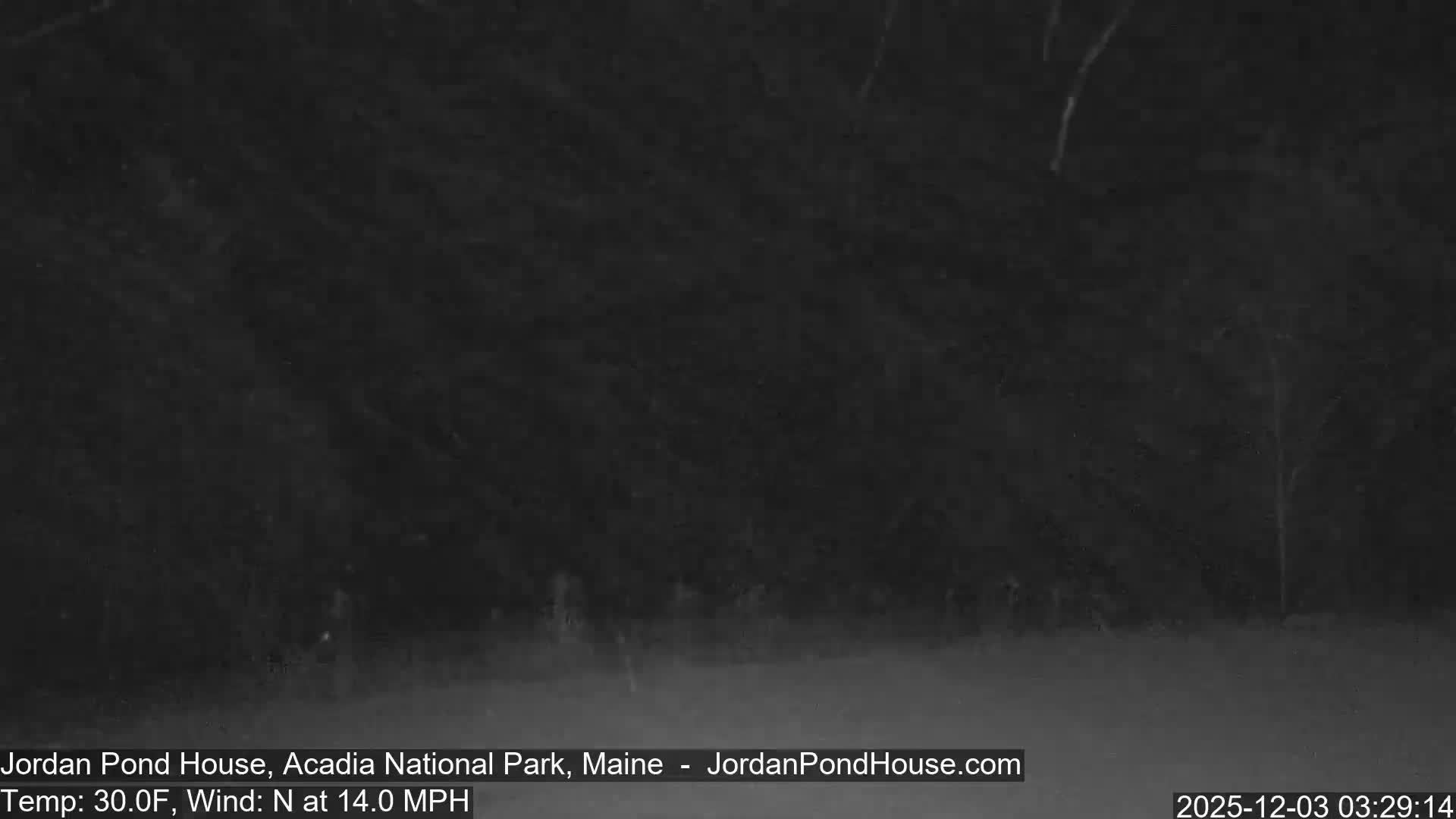 A very dark, blurry outdoor scene at night shows faint white streaks of precipitation against a backdrop of indistinct trees and a lightly covered ground.