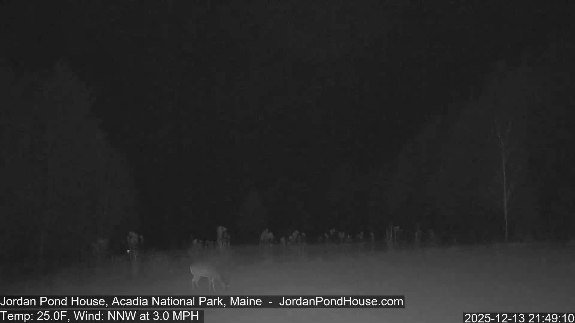 Acadia National Park, Jordan Pond Lake Live Cam - Seal Harbor, Hancock,  Maine, USA
