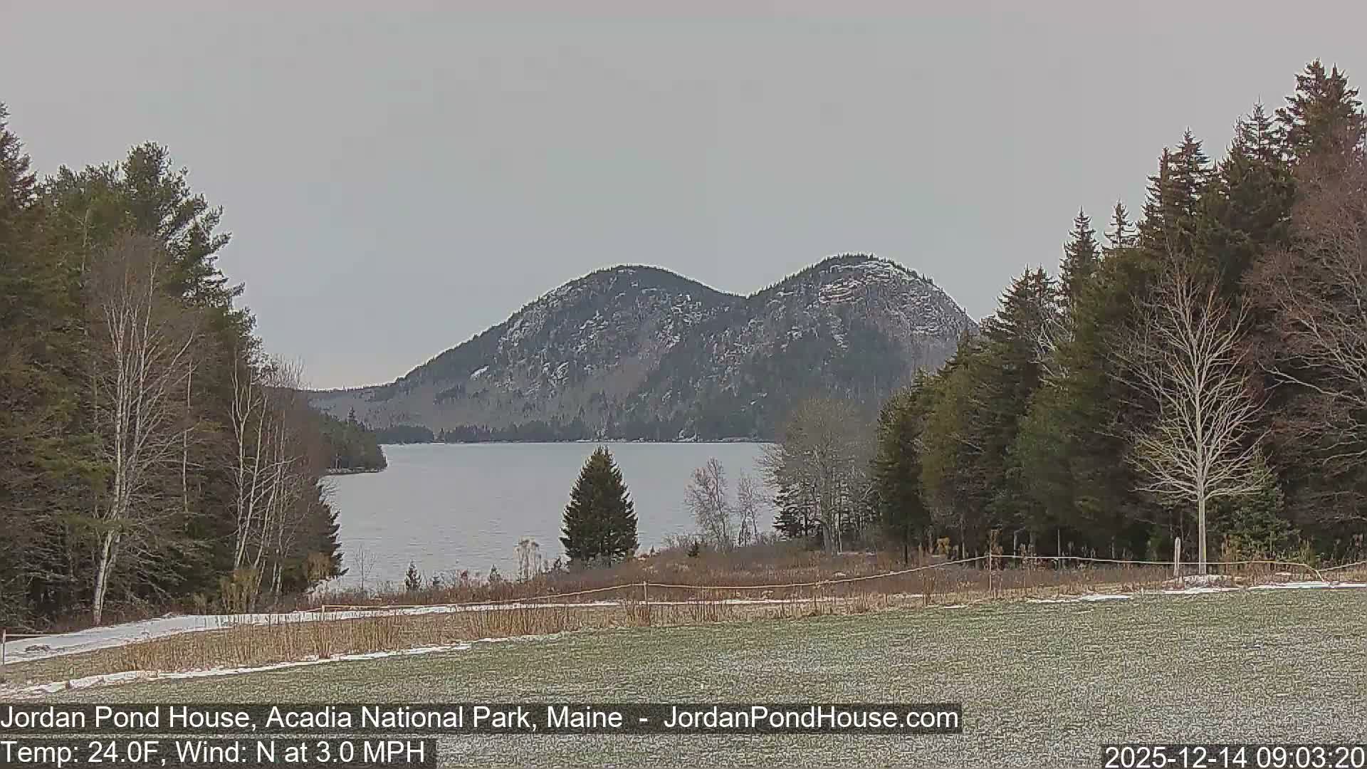 A very dark, blurry outdoor scene at night shows faint white streaks of precipitation against a backdrop of indistinct trees and a lightly covered ground.