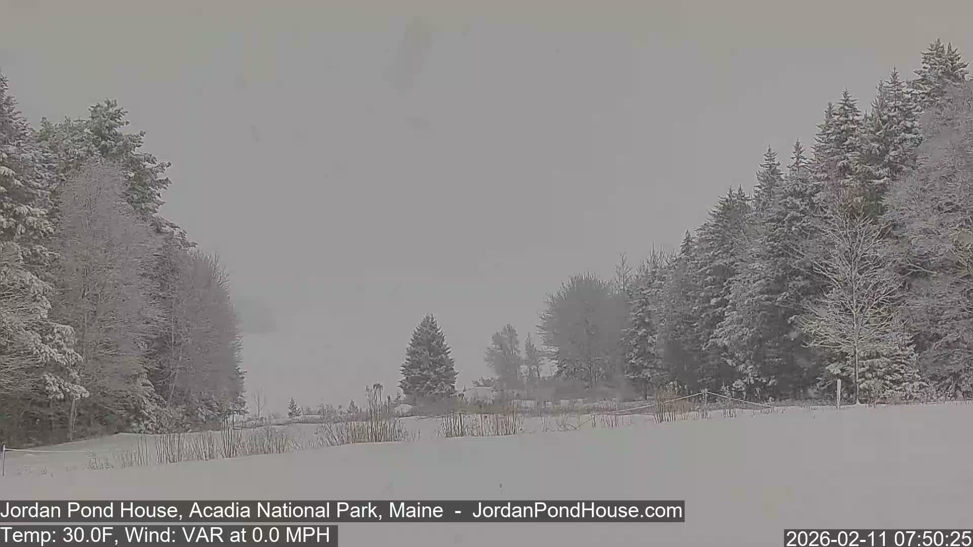 Acadia National Park, Jordan Pond Lake Live Cam - Seal Harbor, Hancock,  Maine, USA